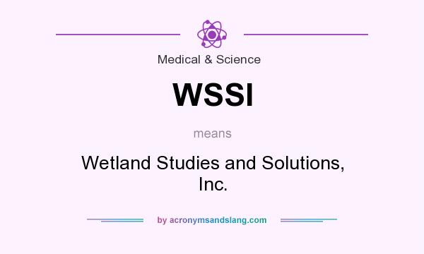 What does WSSI mean? It stands for Wetland Studies and Solutions, Inc.