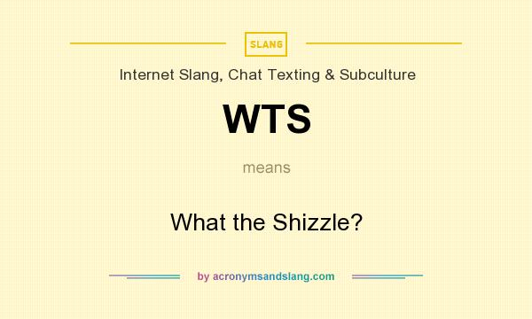 What does WTS mean? It stands for What the Shizzle?