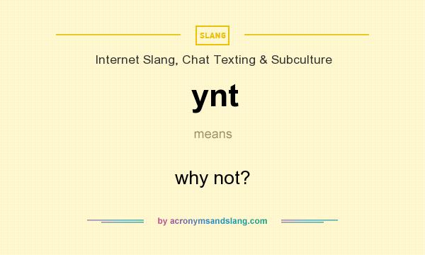 What does ynt mean? It stands for why not?