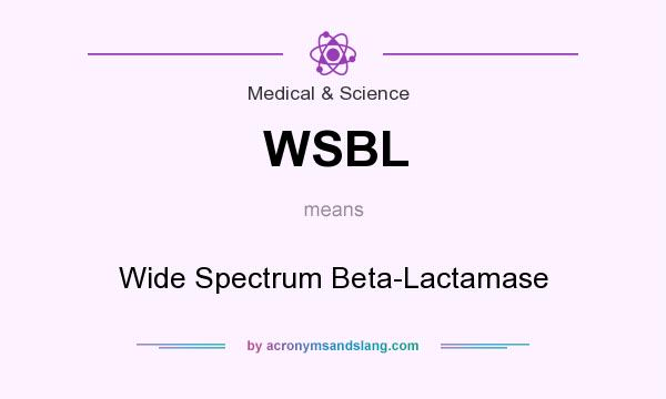 What does WSBL mean? It stands for Wide Spectrum Beta-Lactamase