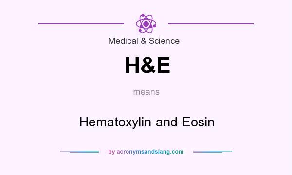 What does H&E mean? It stands for Hematoxylin-and-Eosin