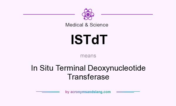 What does ISTdT mean? It stands for In Situ Terminal Deoxynucleotide Transferase