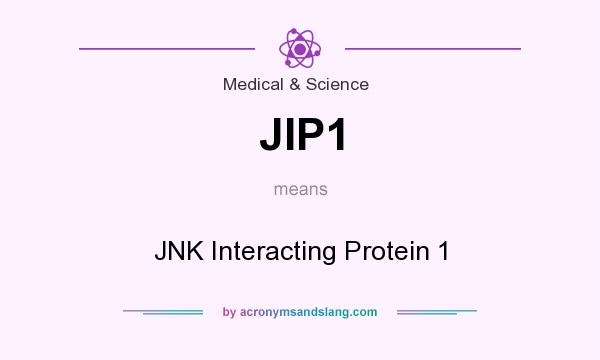 What does JIP1 mean? It stands for JNK Interacting Protein 1