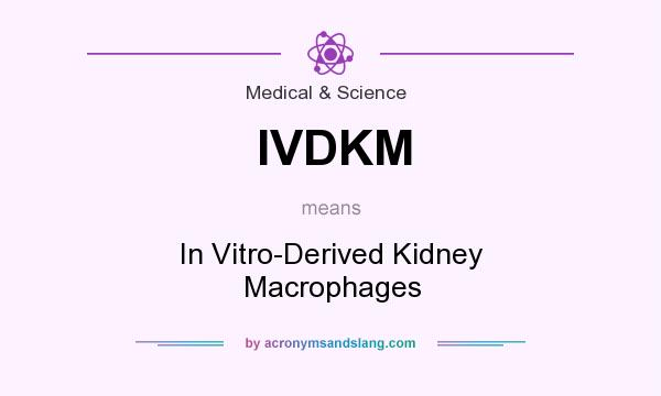 What does IVDKM mean? It stands for In Vitro-Derived Kidney Macrophages