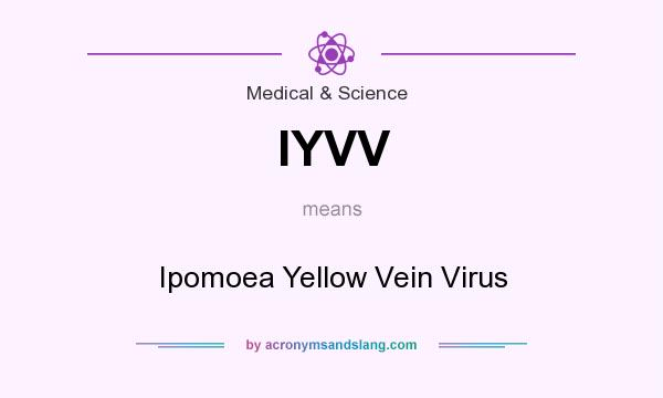 What does IYVV mean? It stands for Ipomoea Yellow Vein Virus