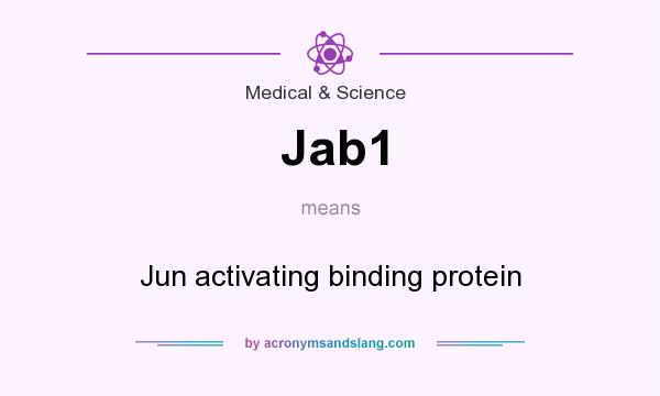 What does Jab1 mean? It stands for Jun activating binding protein