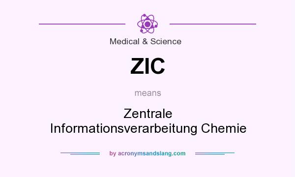 What does ZIC mean? It stands for Zentrale Informationsverarbeitung Chemie
