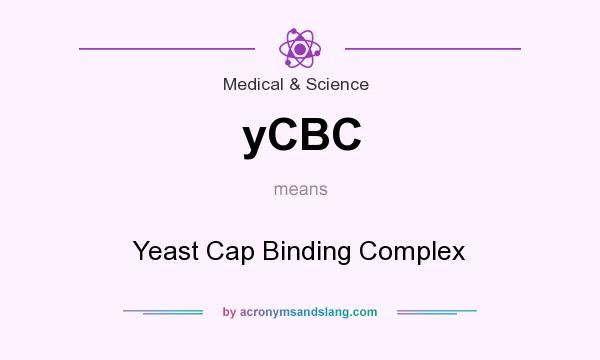 What does yCBC mean? It stands for Yeast Cap Binding Complex
