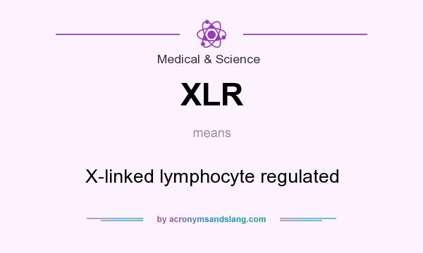 What does XLR mean? It stands for X-linked lymphocyte regulated
