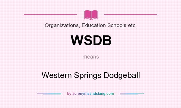 What does WSDB mean? It stands for Western Springs Dodgeball