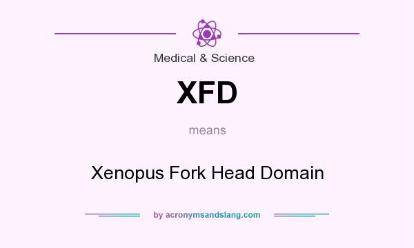 What does XFD mean? It stands for Xenopus Fork Head Domain
