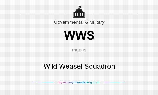 What does WWS mean? It stands for Wild Weasel Squadron