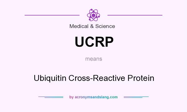 What does UCRP mean? It stands for Ubiquitin Cross-Reactive Protein
