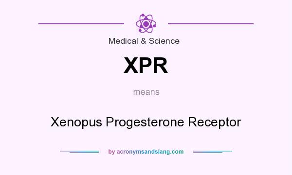 What does XPR mean? It stands for Xenopus Progesterone Receptor