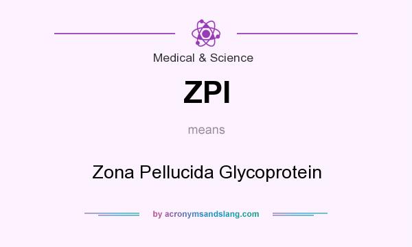 What does ZPI mean? It stands for Zona Pellucida Glycoprotein