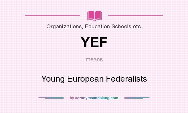 What does YEF mean? It stands for Young European Federalists