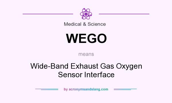 What does WEGO mean? It stands for Wide-Band Exhaust Gas Oxygen Sensor Interface