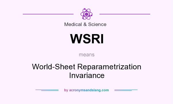 What does WSRI mean? It stands for World-Sheet Reparametrization Invariance