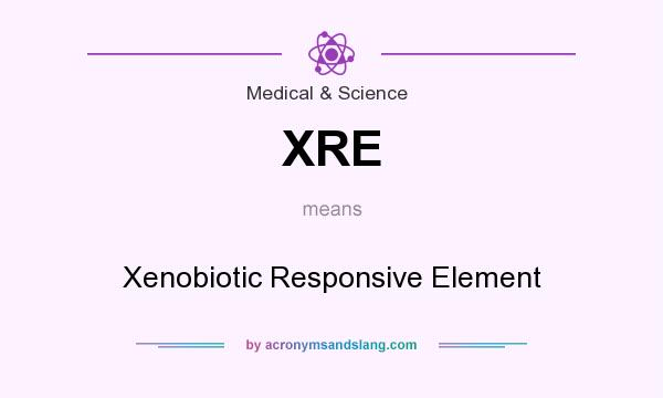 What does XRE mean? It stands for Xenobiotic Responsive Element