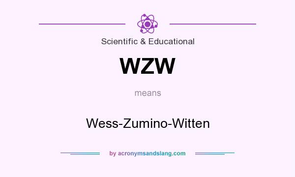 What does WZW mean? It stands for Wess-Zumino-Witten