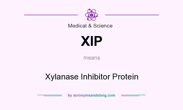 What does XIP mean? It stands for Xylanase Inhibitor Protein