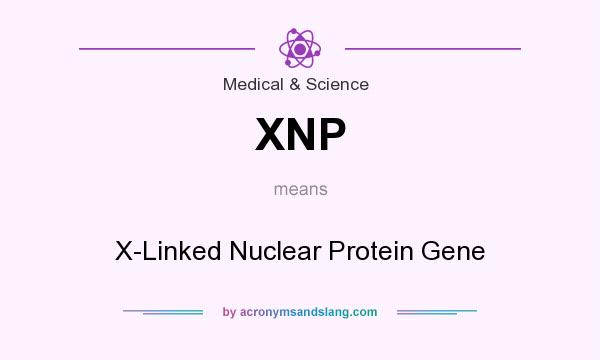 What does XNP mean? It stands for X-Linked Nuclear Protein Gene