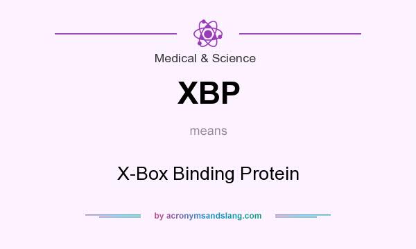 What does XBP mean? It stands for X-Box Binding Protein