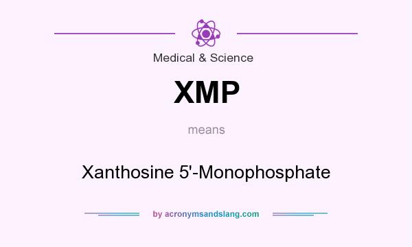 What does XMP mean? It stands for Xanthosine 5`-Monophosphate