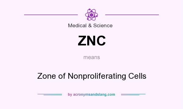 What does ZNC mean? It stands for Zone of Nonproliferating Cells