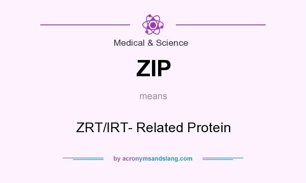 What does ZIP mean? It stands for ZRT/IRT- Related Protein