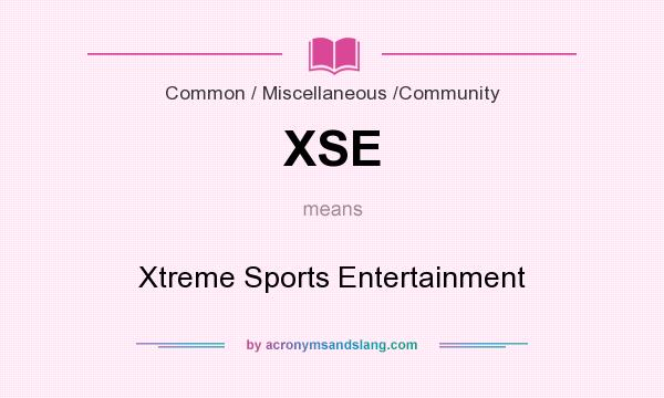 What does XSE mean? It stands for Xtreme Sports Entertainment