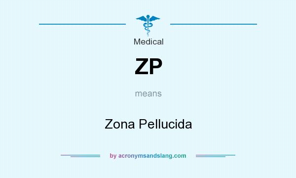 What does ZP mean? It stands for Zona Pellucida
