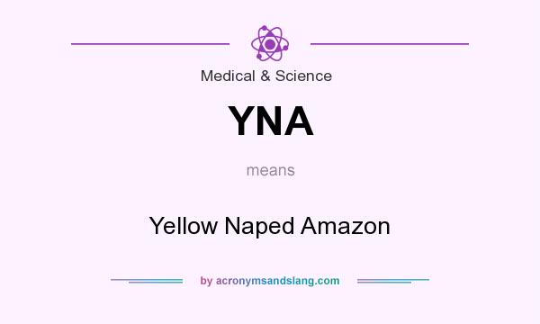 What does YNA mean? It stands for Yellow Naped Amazon