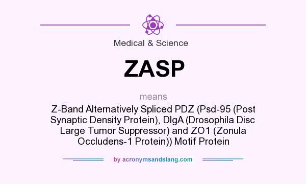 What does ZASP mean? It stands for Z-Band Alternatively Spliced PDZ (Psd-95 (Post Synaptic Density Protein), DlgA (Drosophila Disc Large Tumor Suppressor) and ZO1 (Zonula Occludens-1 Protein)) Motif Protein