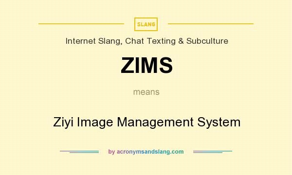 What does ZIMS mean? It stands for Ziyi Image Management System