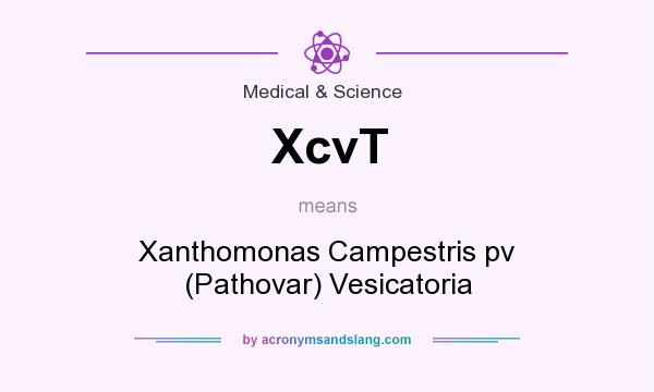 What does XcvT mean? It stands for Xanthomonas Campestris pv (Pathovar) Vesicatoria