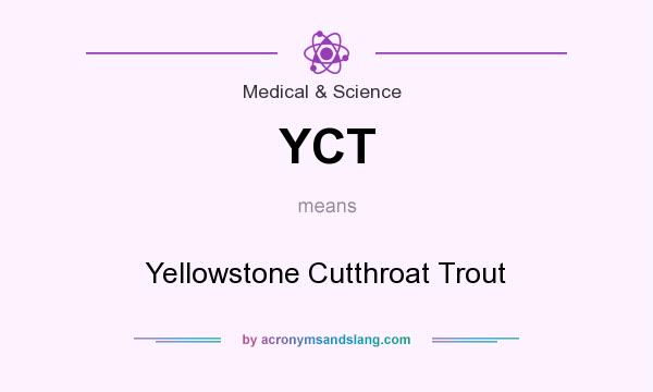 What does YCT mean? It stands for Yellowstone Cutthroat Trout