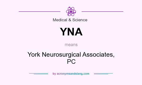What does YNA mean? It stands for York Neurosurgical Associates, PC