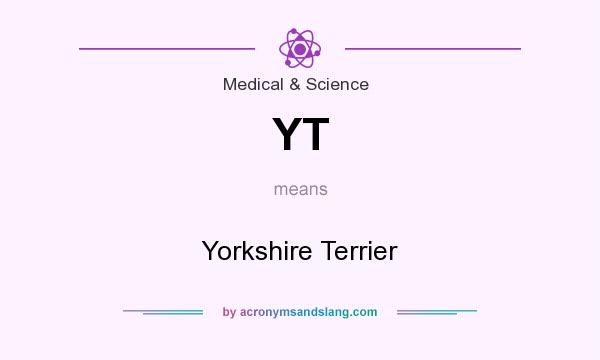 What does YT mean? It stands for Yorkshire Terrier