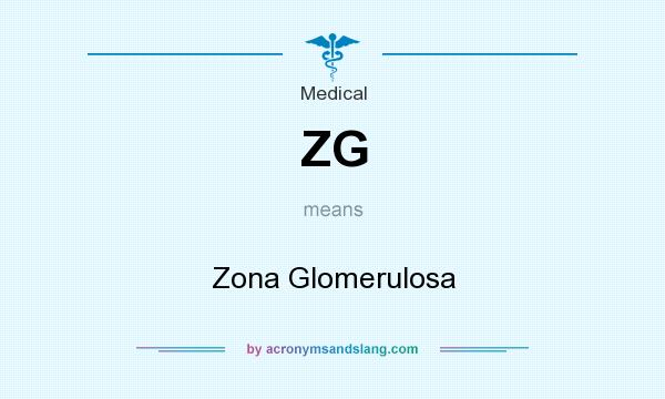 What does ZG mean? It stands for Zona Glomerulosa