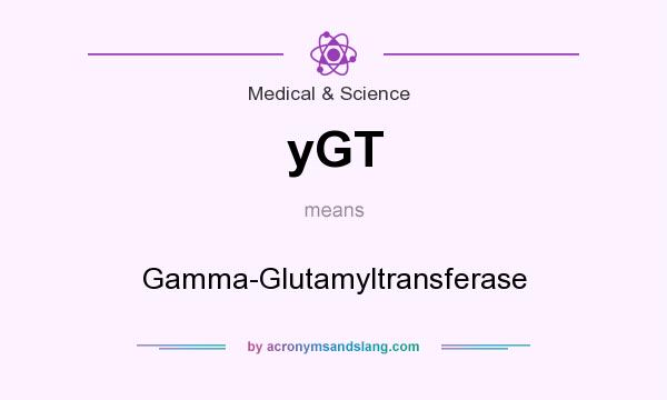 What does yGT mean? It stands for Gamma-Glutamyltransferase