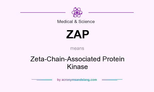 What does ZAP mean? It stands for Zeta-Chain-Associated Protein Kinase