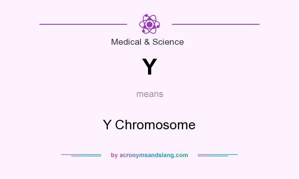 What does Y mean? It stands for Y Chromosome