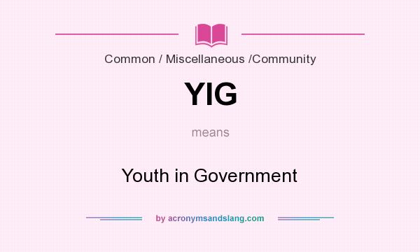 What does YIG mean? It stands for Youth in Government