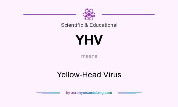What does YHV mean? It stands for Yellow-Head Virus