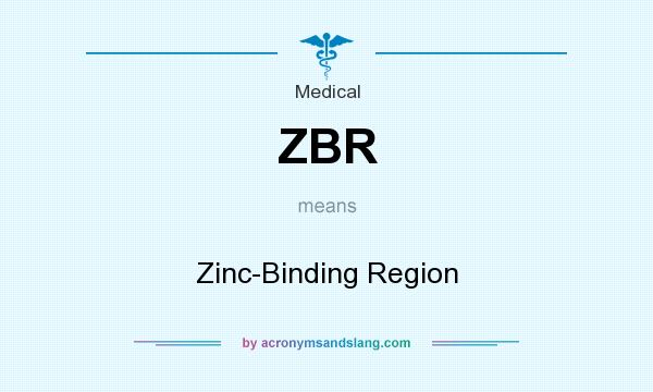 What does ZBR mean? It stands for Zinc-Binding Region