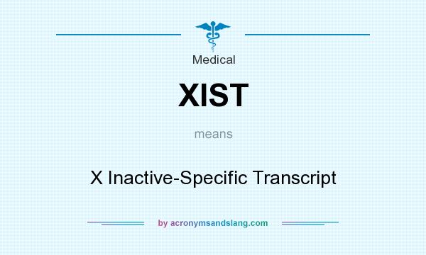 What does XIST mean? It stands for X Inactive-Specific Transcript