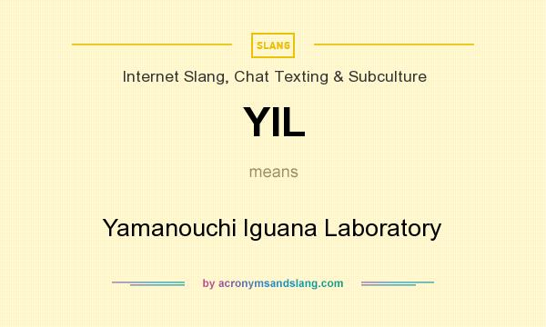 What does YIL mean? It stands for Yamanouchi Iguana Laboratory