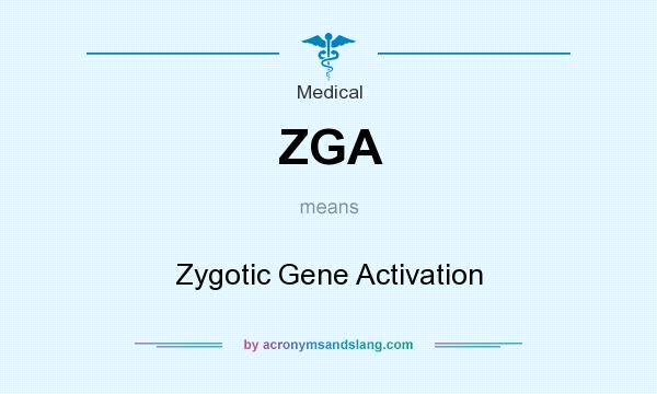 What does ZGA mean? It stands for Zygotic Gene Activation