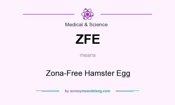 What does ZFE mean? It stands for Zona-Free Hamster Egg